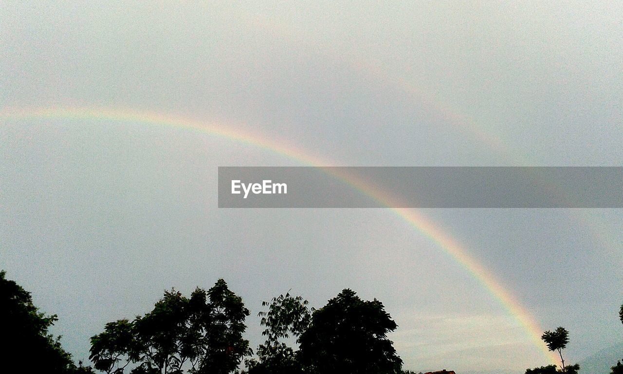 LOW ANGLE VIEW OF RAINBOW OVER TREES AGAINST SKY