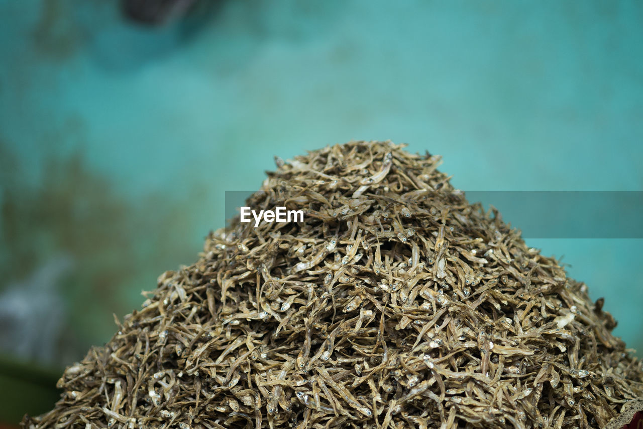 A large pile of dried anchovy fish sold in the market. indonesia.