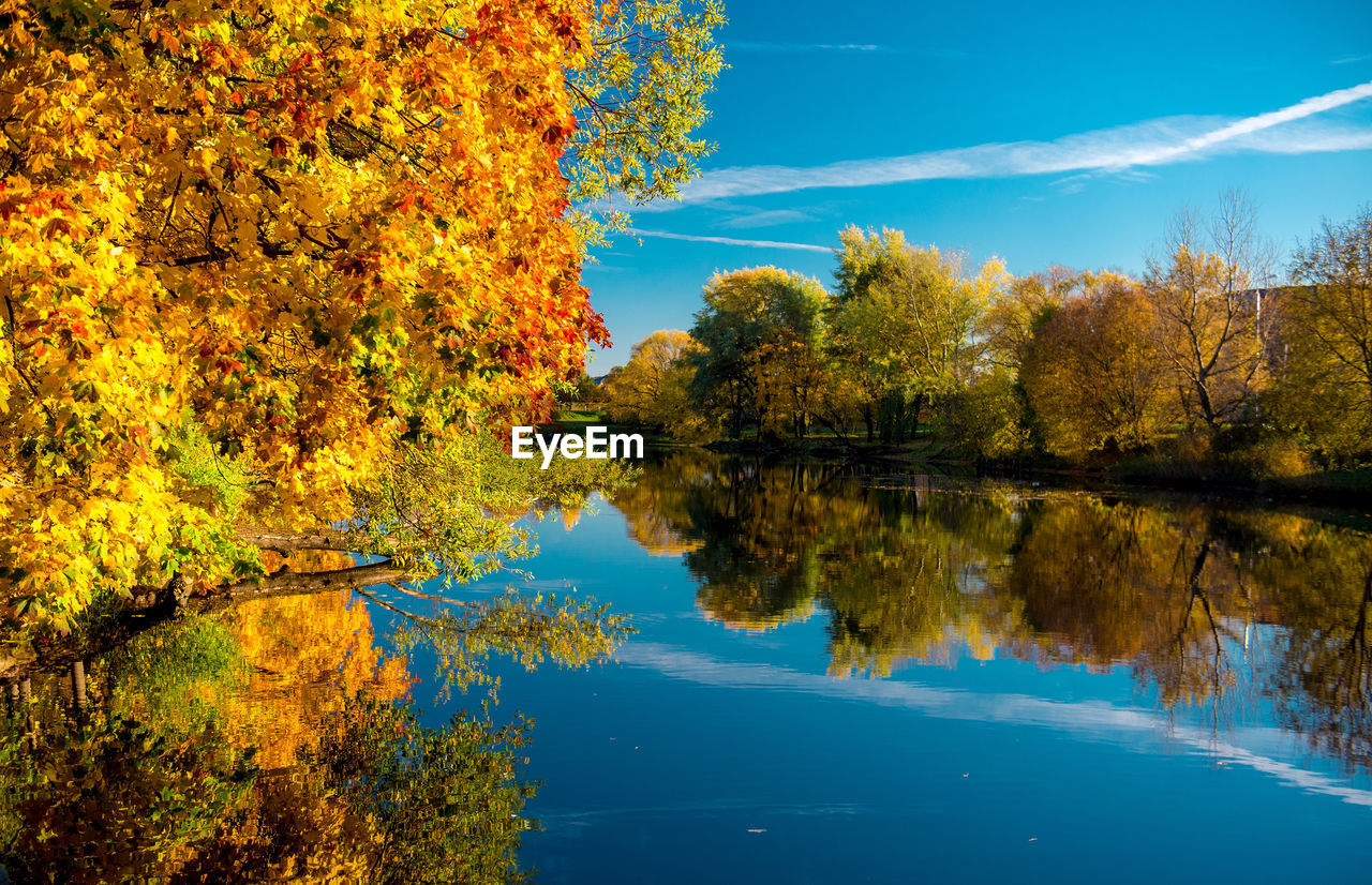 Scenic view of lake by trees during autumn