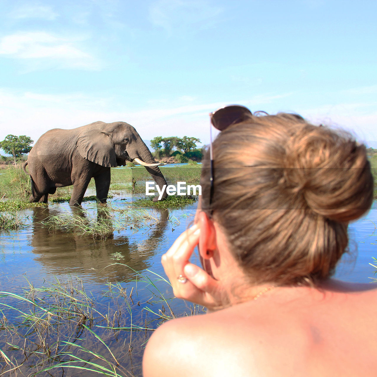Young woman looking at elephant in water against sky