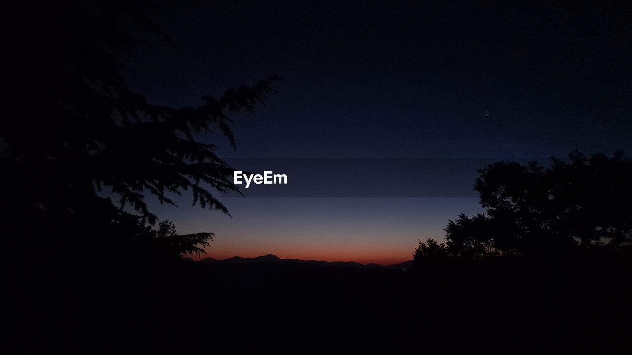 SILHOUETTE TREES AGAINST CLEAR SKY AT SUNSET