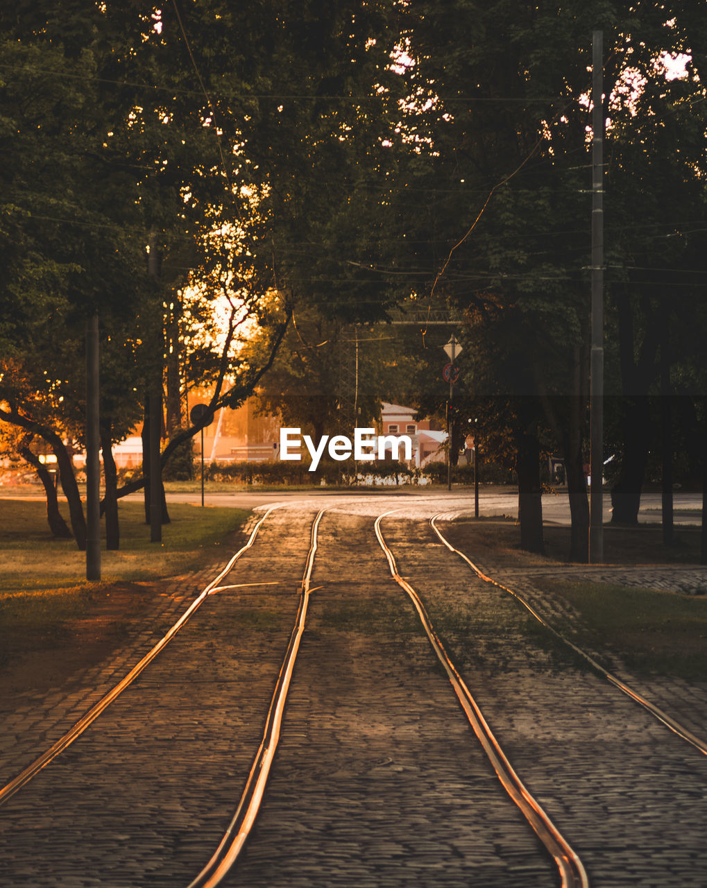 Railroad tracks by trees in city