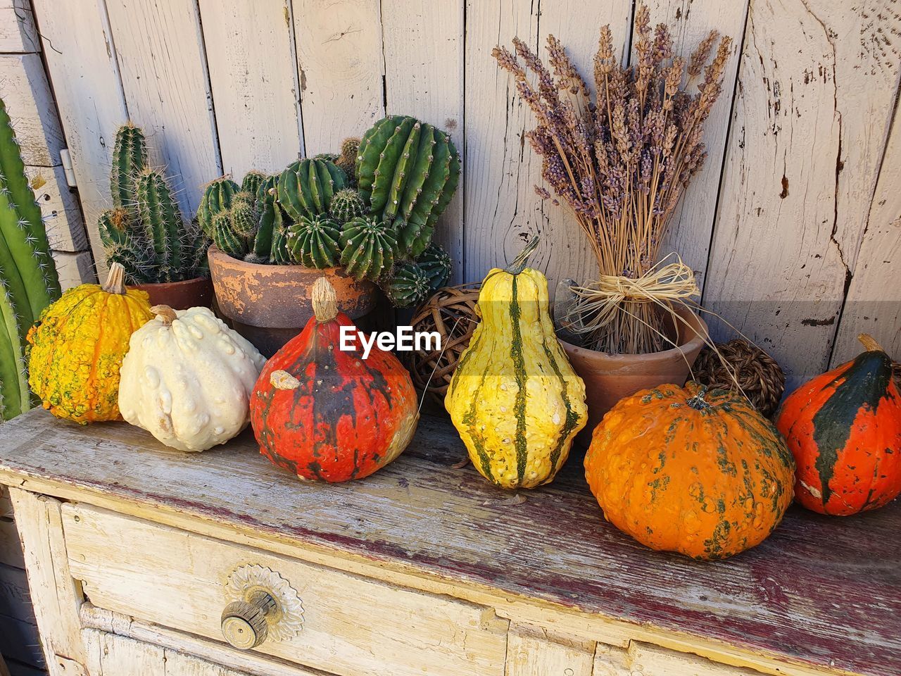 HIGH ANGLE VIEW OF PUMPKINS IN CONTAINER ON TABLE