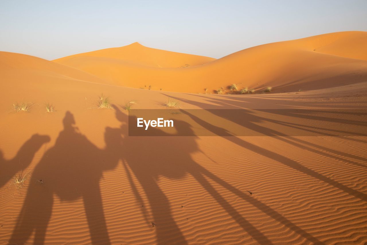 Shadow of people riding camels on sand at desert