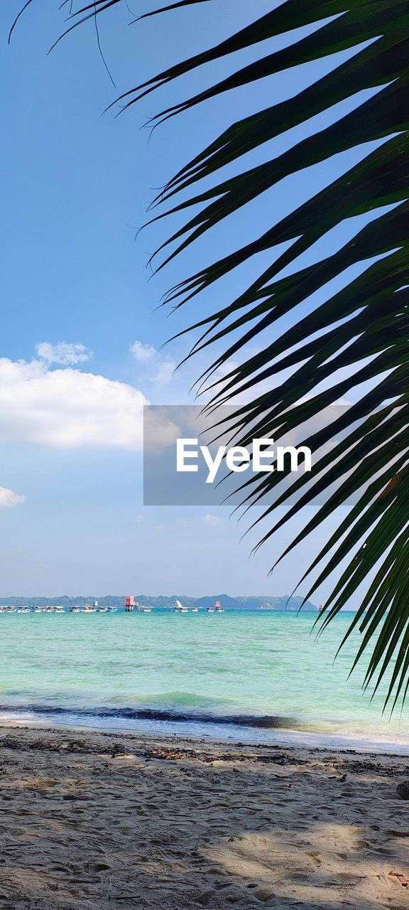 sea, water, sky, beach, land, tropical climate, palm tree, nature, beauty in nature, tree, scenics - nature, ocean, body of water, cloud, tranquility, tranquil scene, sand, horizon over water, plant, travel destinations, shore, holiday, horizon, wave, vacation, trip, day, travel, idyllic, outdoors, no people, coast, coconut palm tree, palm leaf, blue, tropics, tropical tree, sunlight, tourism, environment, leaf, seascape, island, motion, coastline