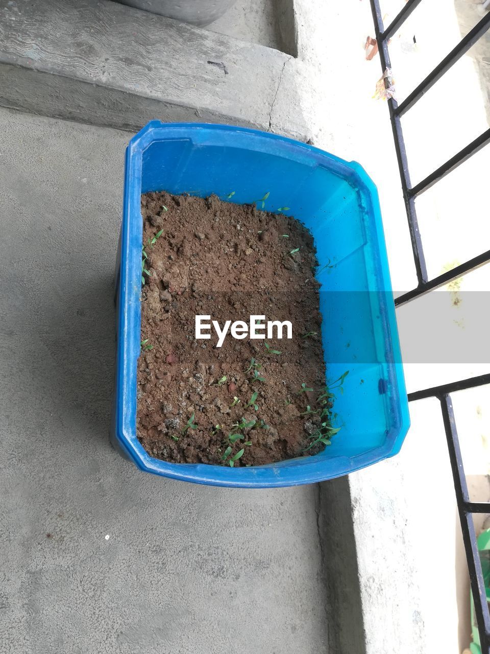 HIGH ANGLE VIEW OF BLUE CONTAINER ON GREEN WALL