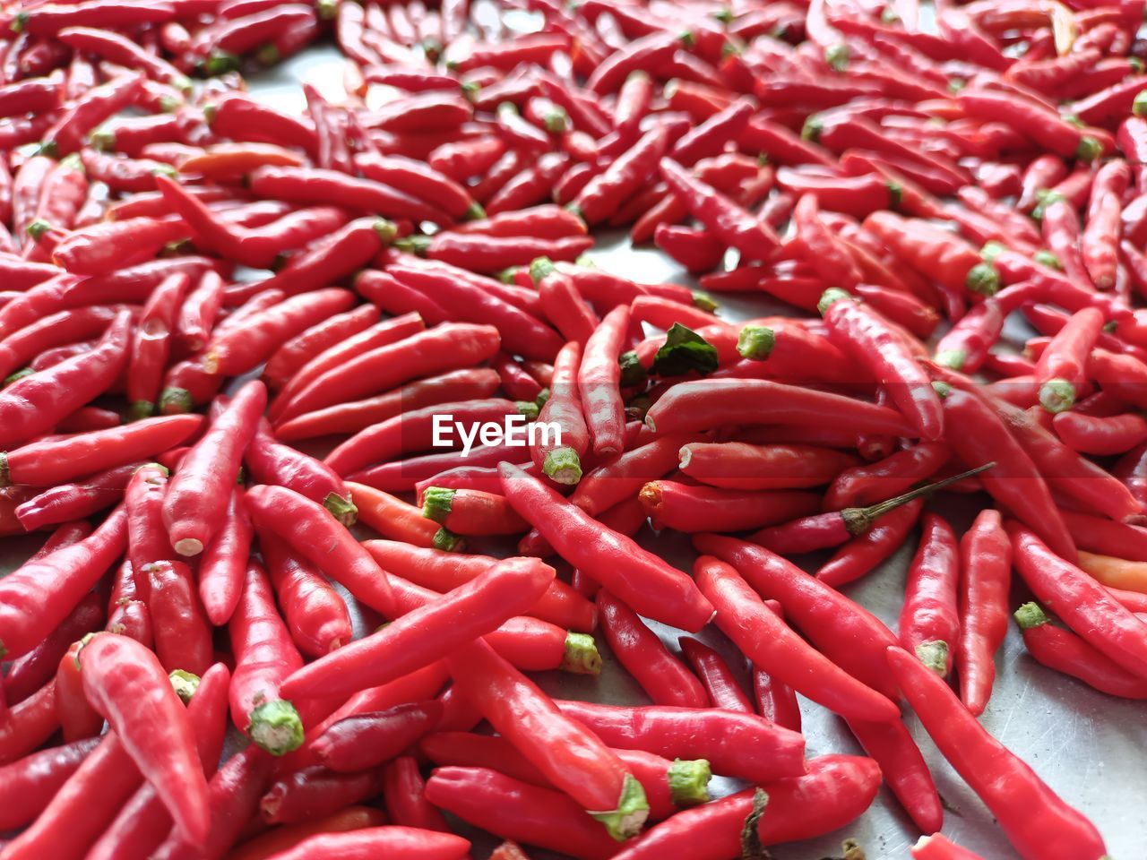 FULL FRAME SHOT OF RED CHILI PEPPERS AT MARKET