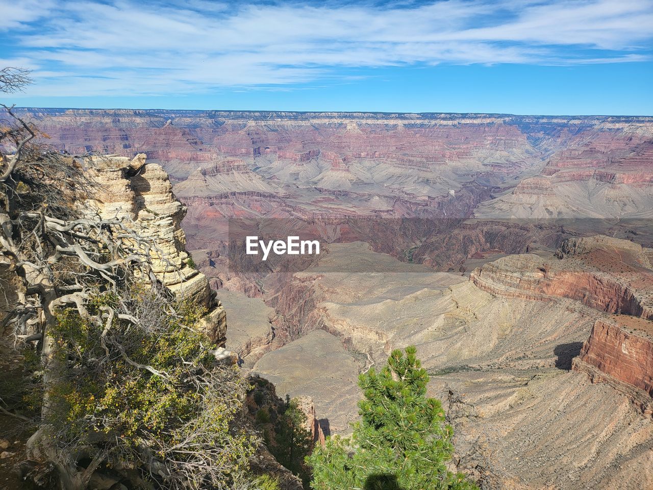 landscape, environment, scenics - nature, canyon, rock, beauty in nature, nature, rock formation, travel destinations, non-urban scene, land, sky, travel, geology, tranquility, tranquil scene, mountain, no people, cloud, plant, desert, day, physical geography, tree, escarpment, outdoors, remote, tourism, national park, eroded, arid climate, climate, high angle view, extreme terrain, idyllic, semi-arid, terrain, horizon over land, cliff, mountain range