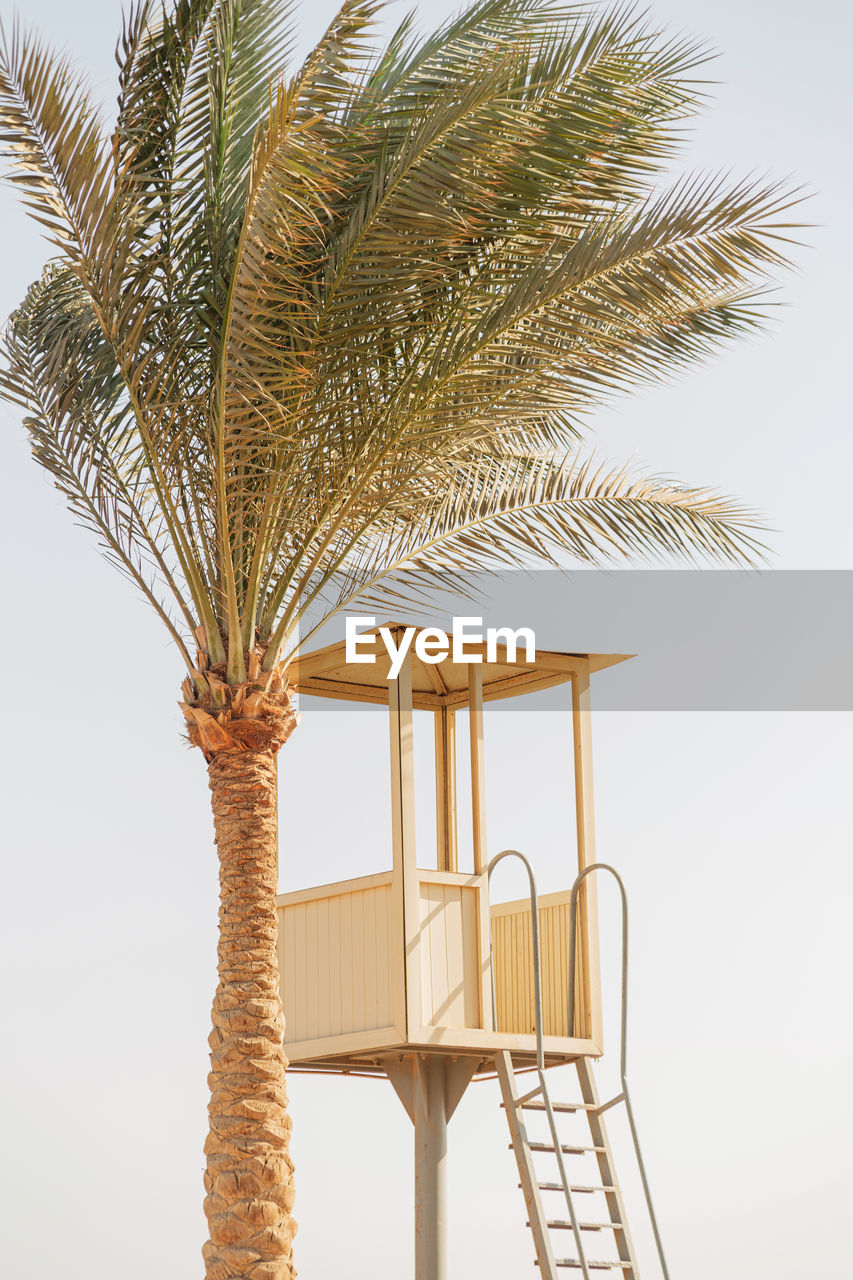 Beautiful tall palm tree and lifeguard tower on the beach by the ocean against the sky