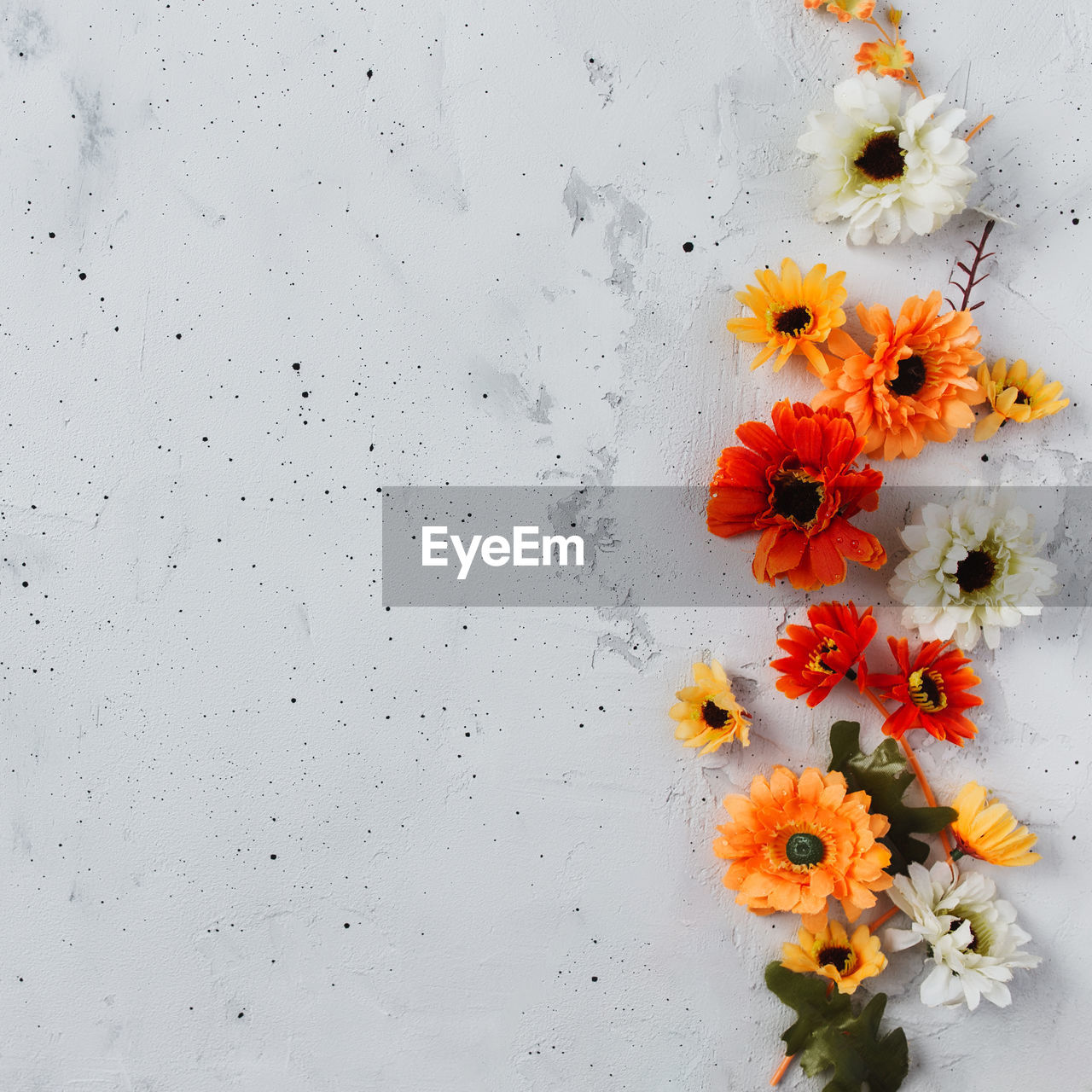 Grey concrete flat lay background with colorful autumn flower heads