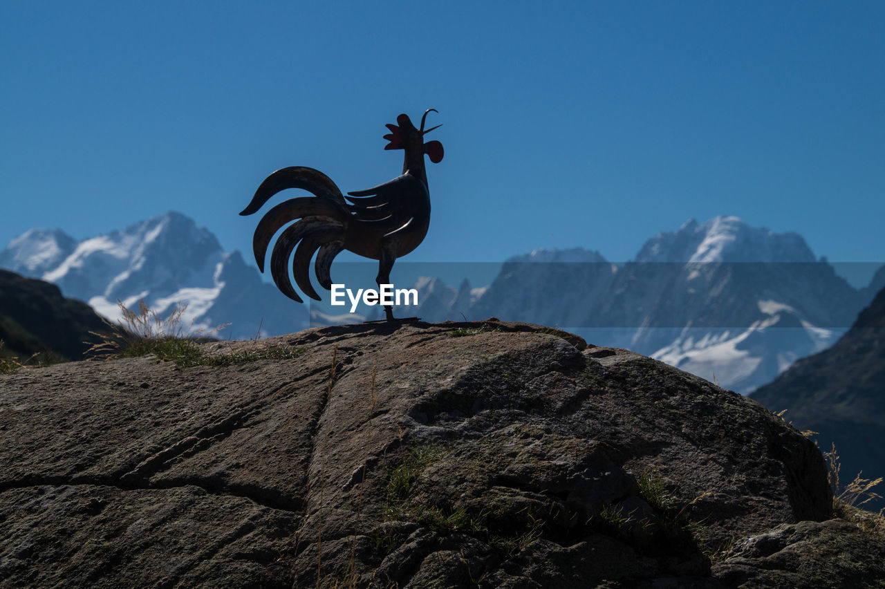 Metallic rooster sculpture on rock against mountain