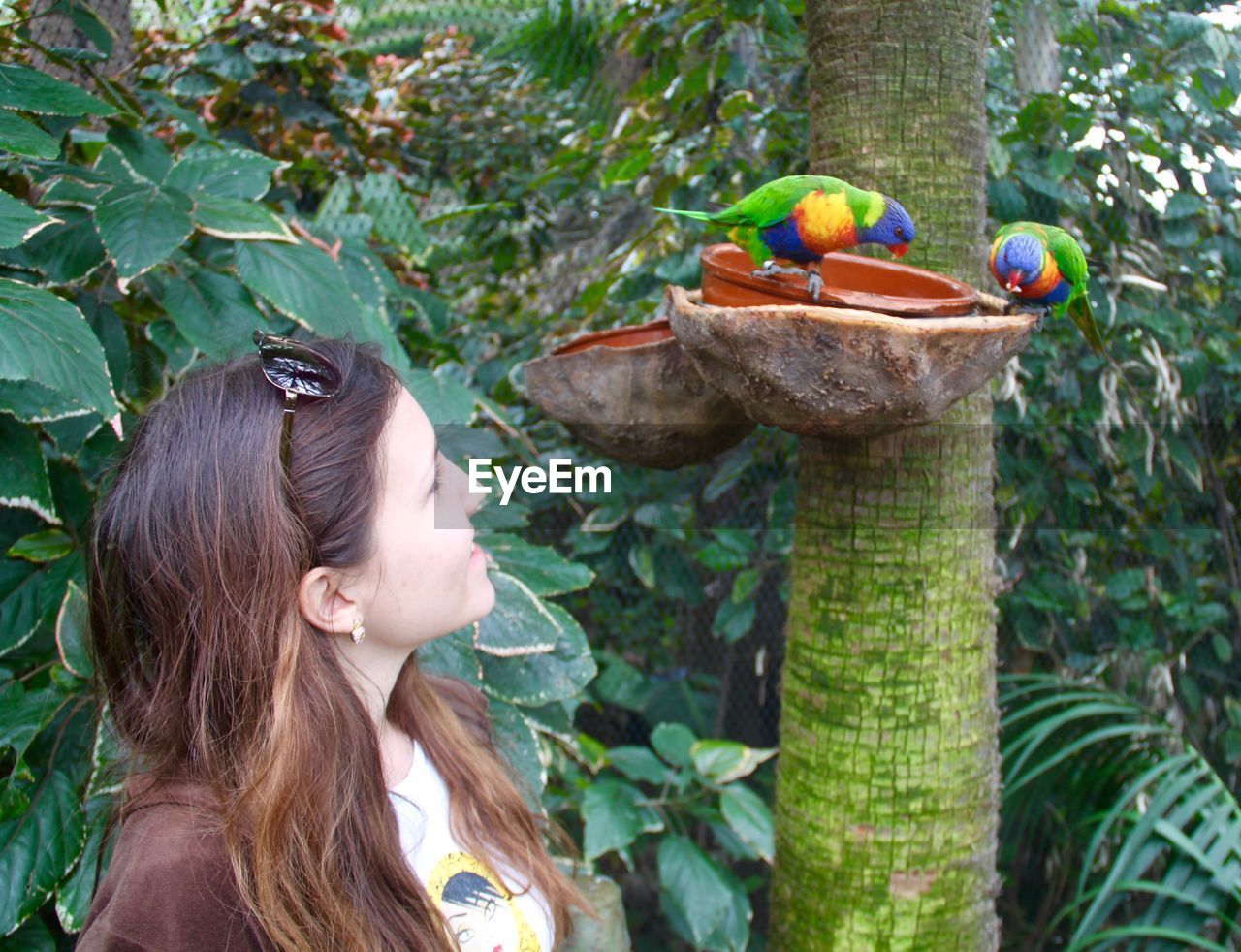 Smiling young woman looking at rainbow lorikeets on bird feeder
