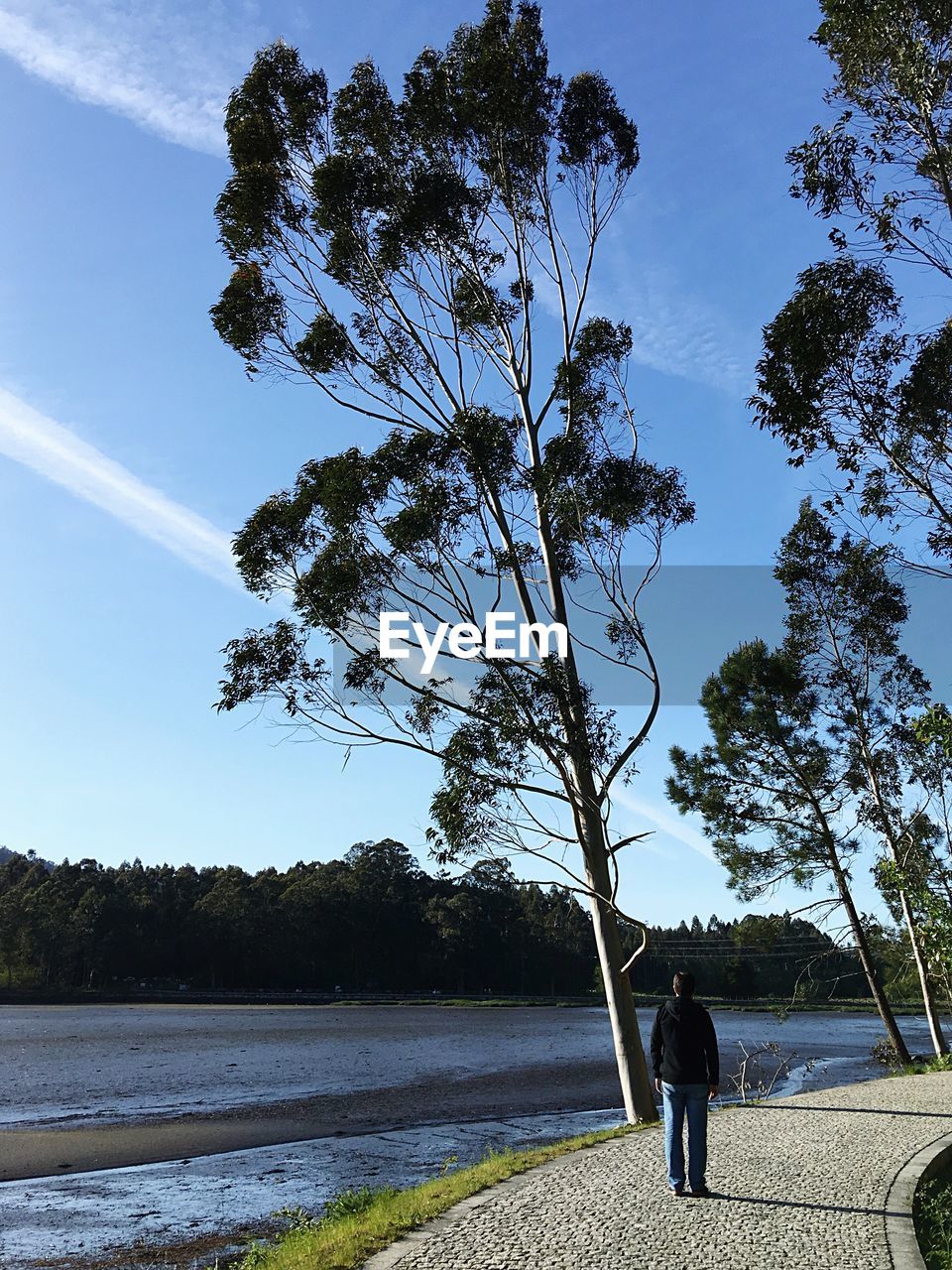 Full length of man standing by tree against sky