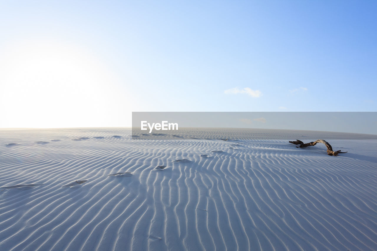 VIEW OF HORSE ON SHORE AGAINST SKY