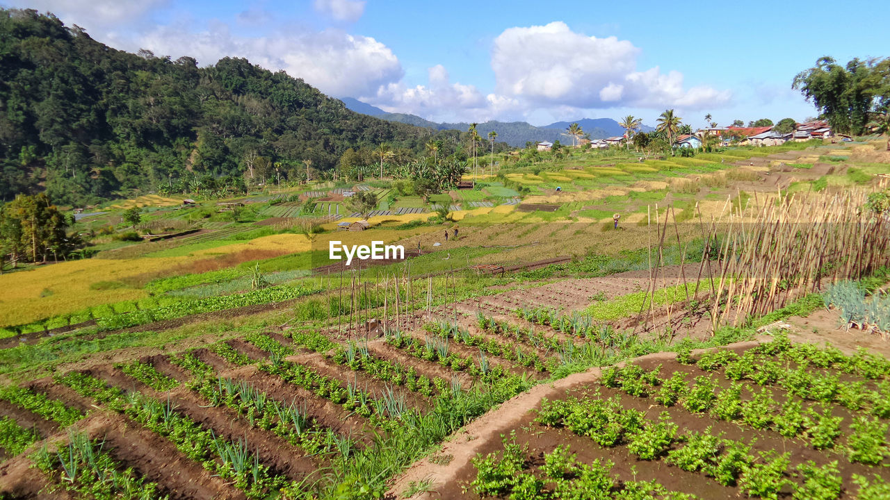 On the road to kelimutu flores island indonesia