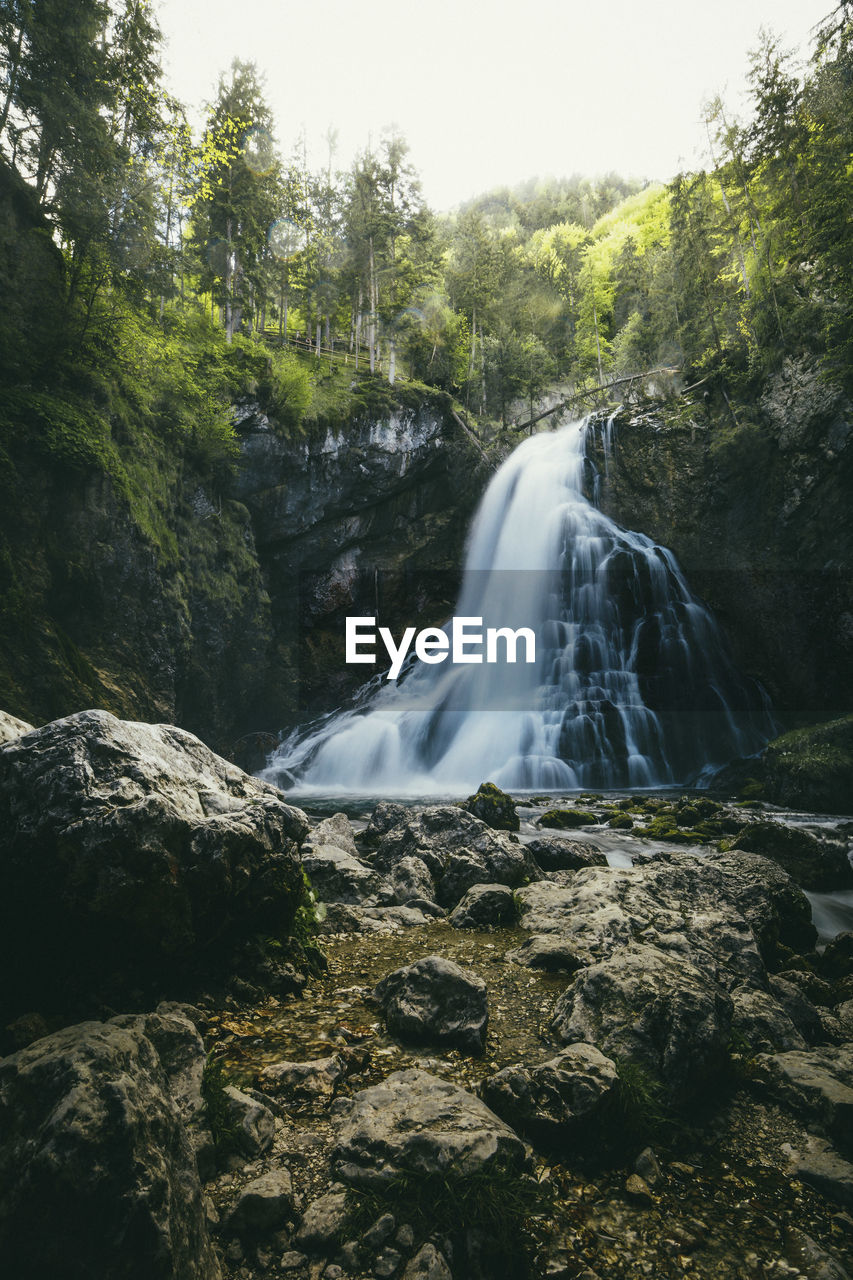 Scenic view of waterfall in forest