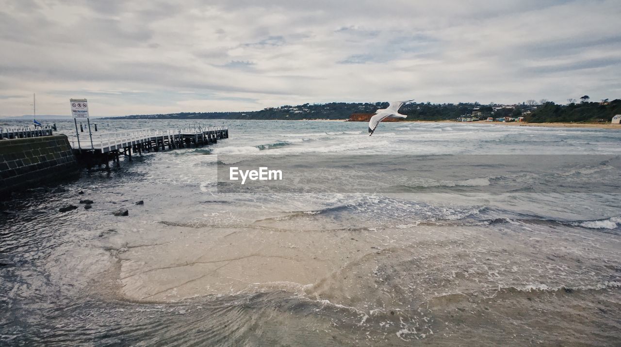 BIRD FLYING OVER SEA AGAINST SKY