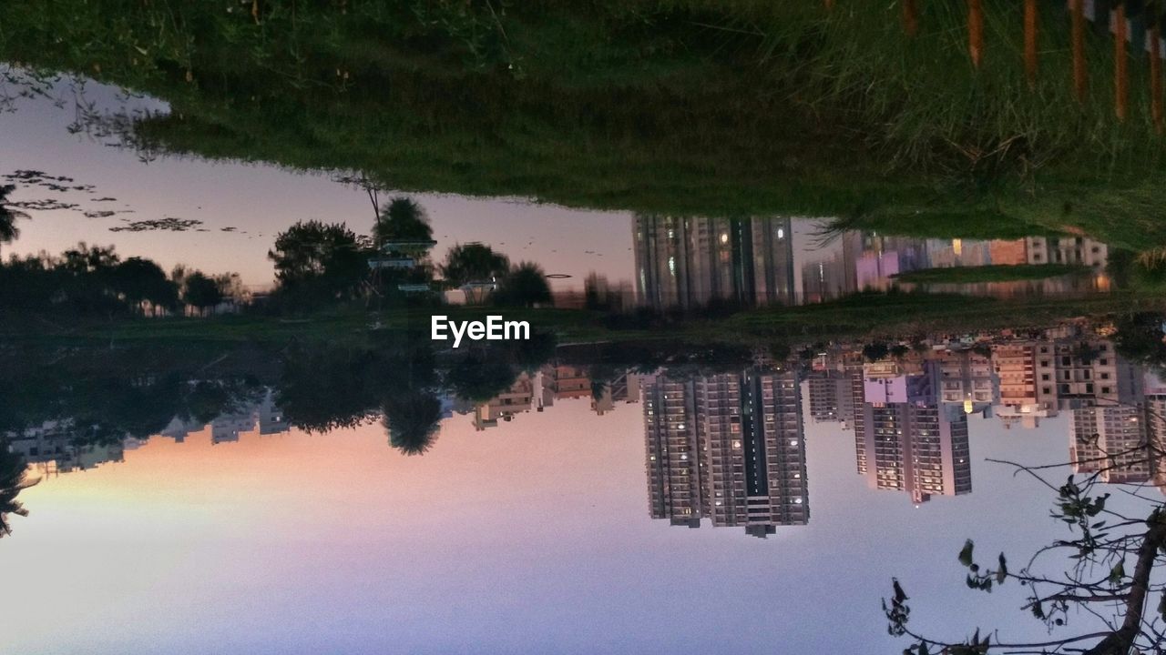 REFLECTION OF TREES IN WATER