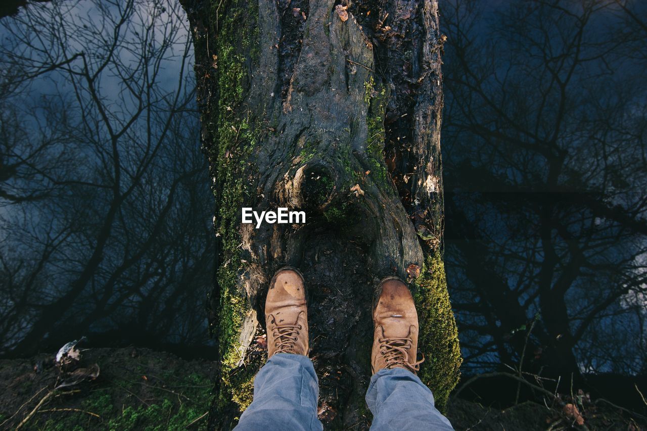 Low section of man standing on fallen tree over pond