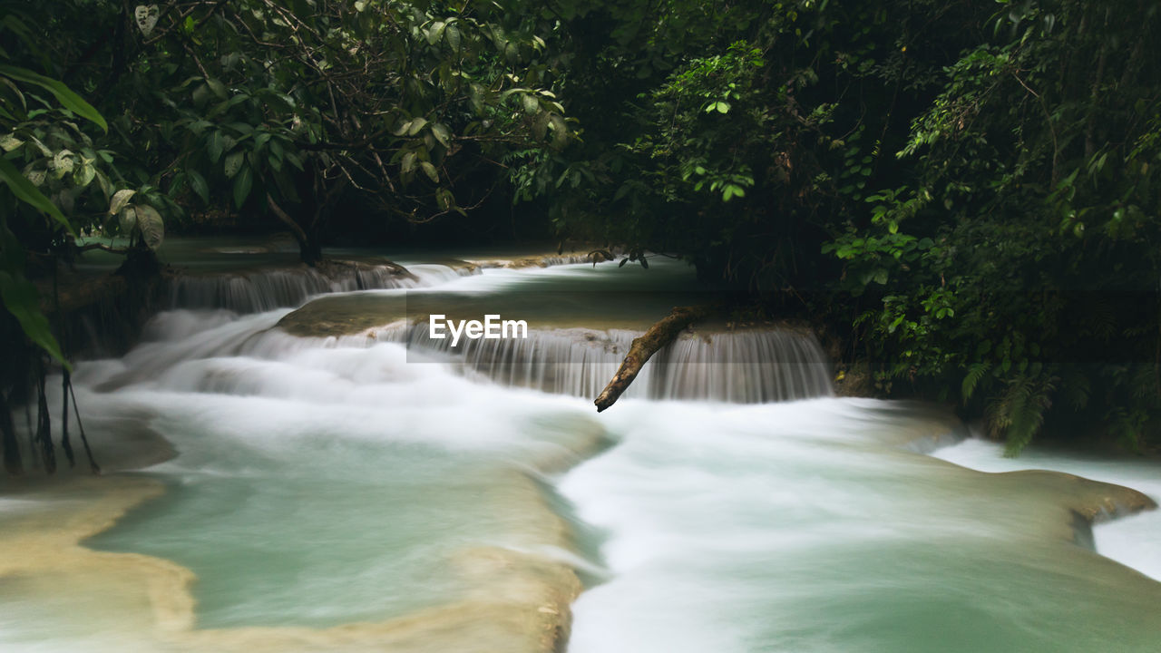 Scenic view of waterfall in forest