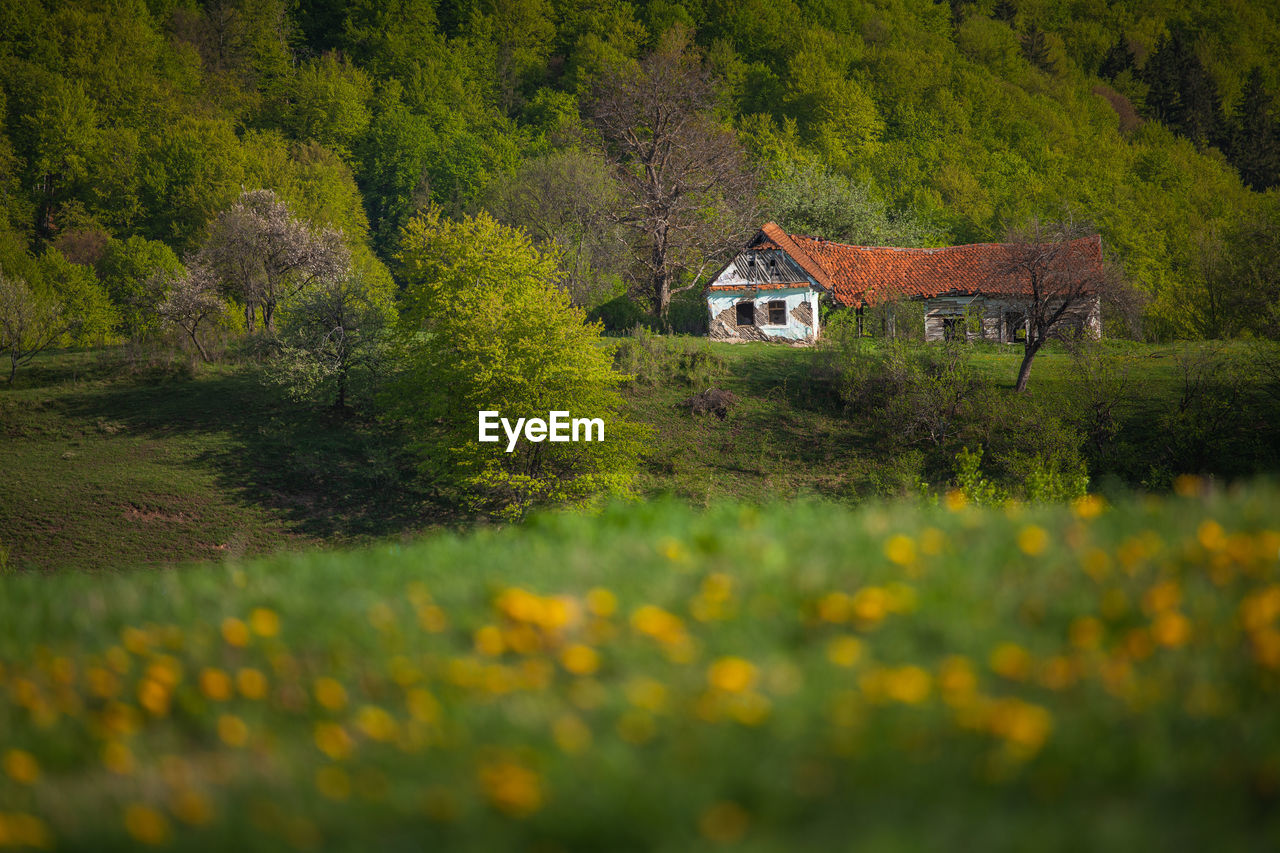 Mountain landscape in the spring season.