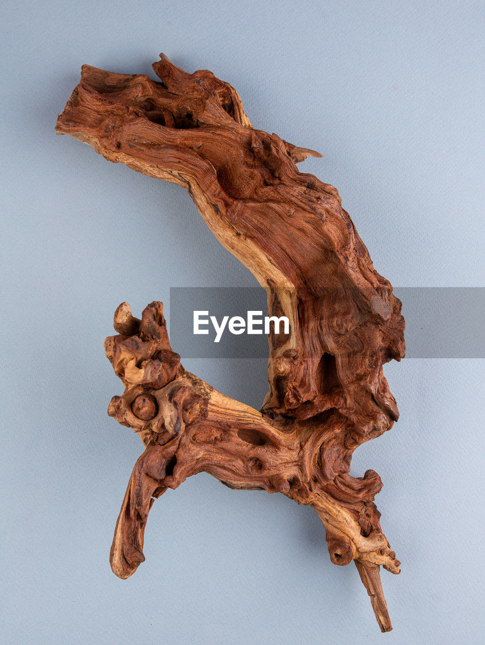 wood, sculpture, studio shot, leaf, no people, indoors, art, brown, driftwood