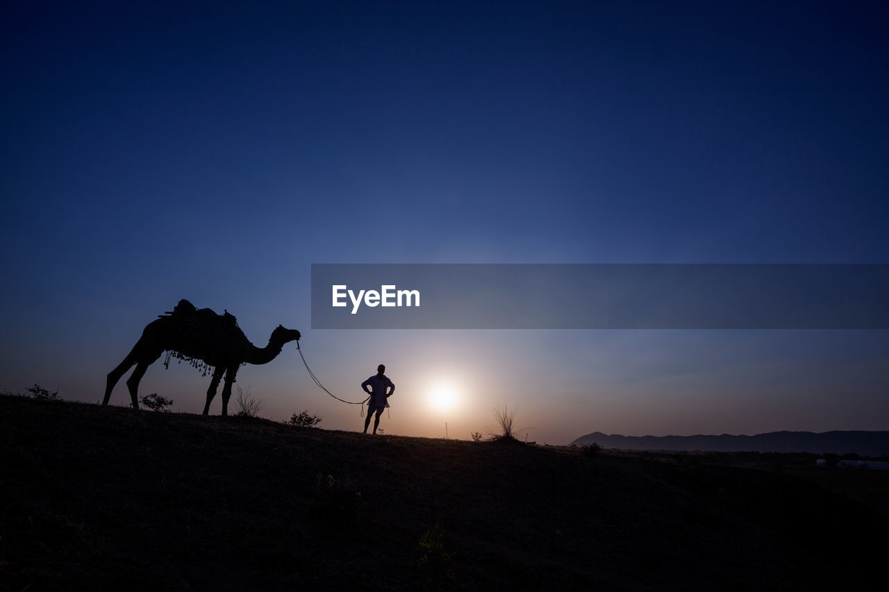 Silhouette man standing by camel at desert during sunset