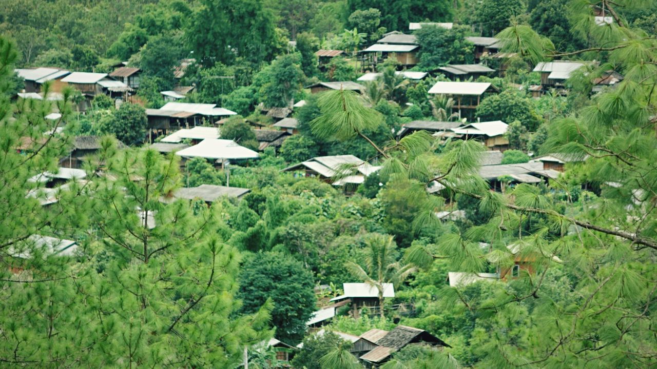 Houses in village