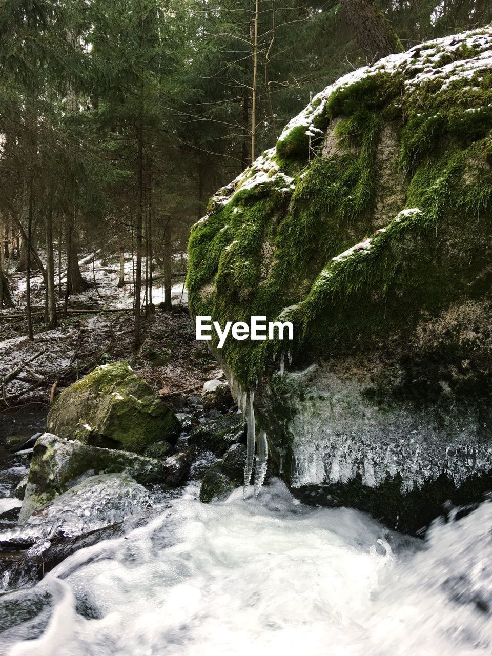 Stream flowing through rocks in forest