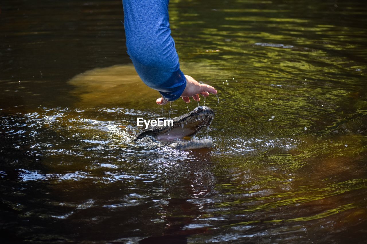 LOW SECTION OF MAN STANDING IN LAKE