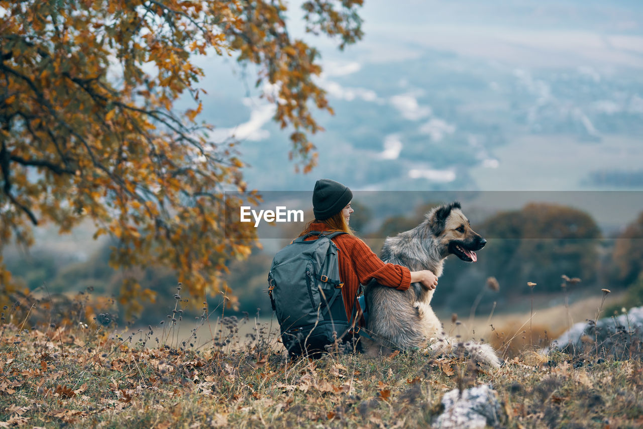 VIEW OF DOG ON FIELD DURING SUNSET