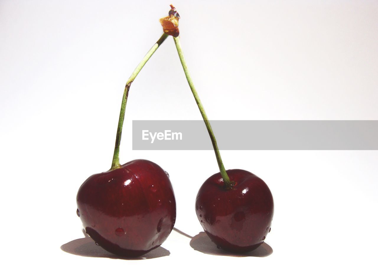 Close-up of wet cherries against white background