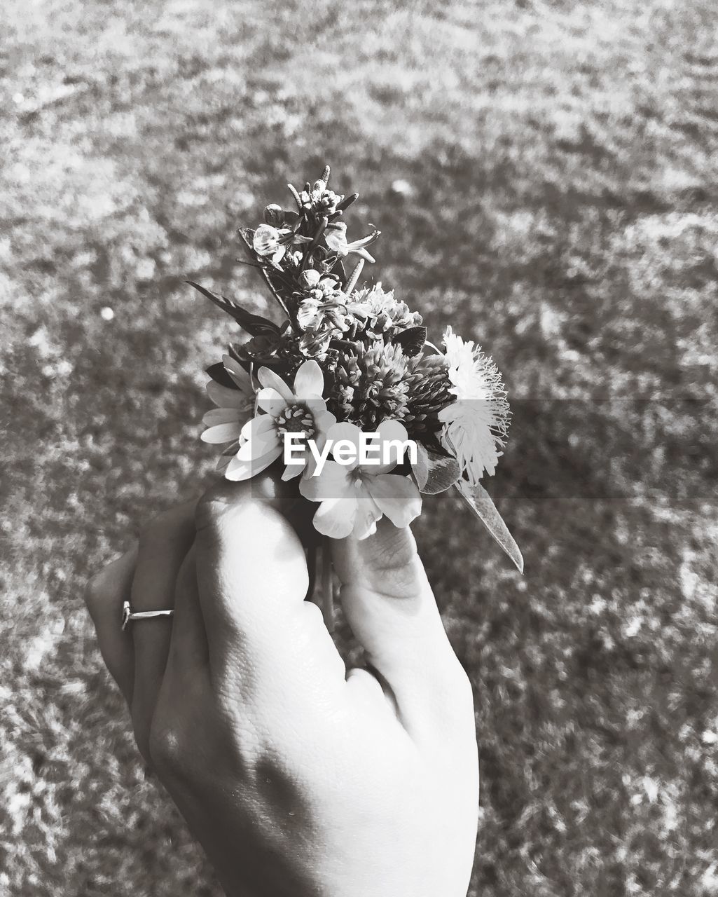 Close-up of hand holding flowers