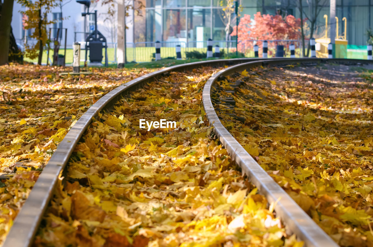 autumn, railroad track, rail transportation, track, leaf, plant part, nature, transportation, no people, architecture, transport, day, plant, built structure, tree, outdoors, city, falling, dry, building exterior