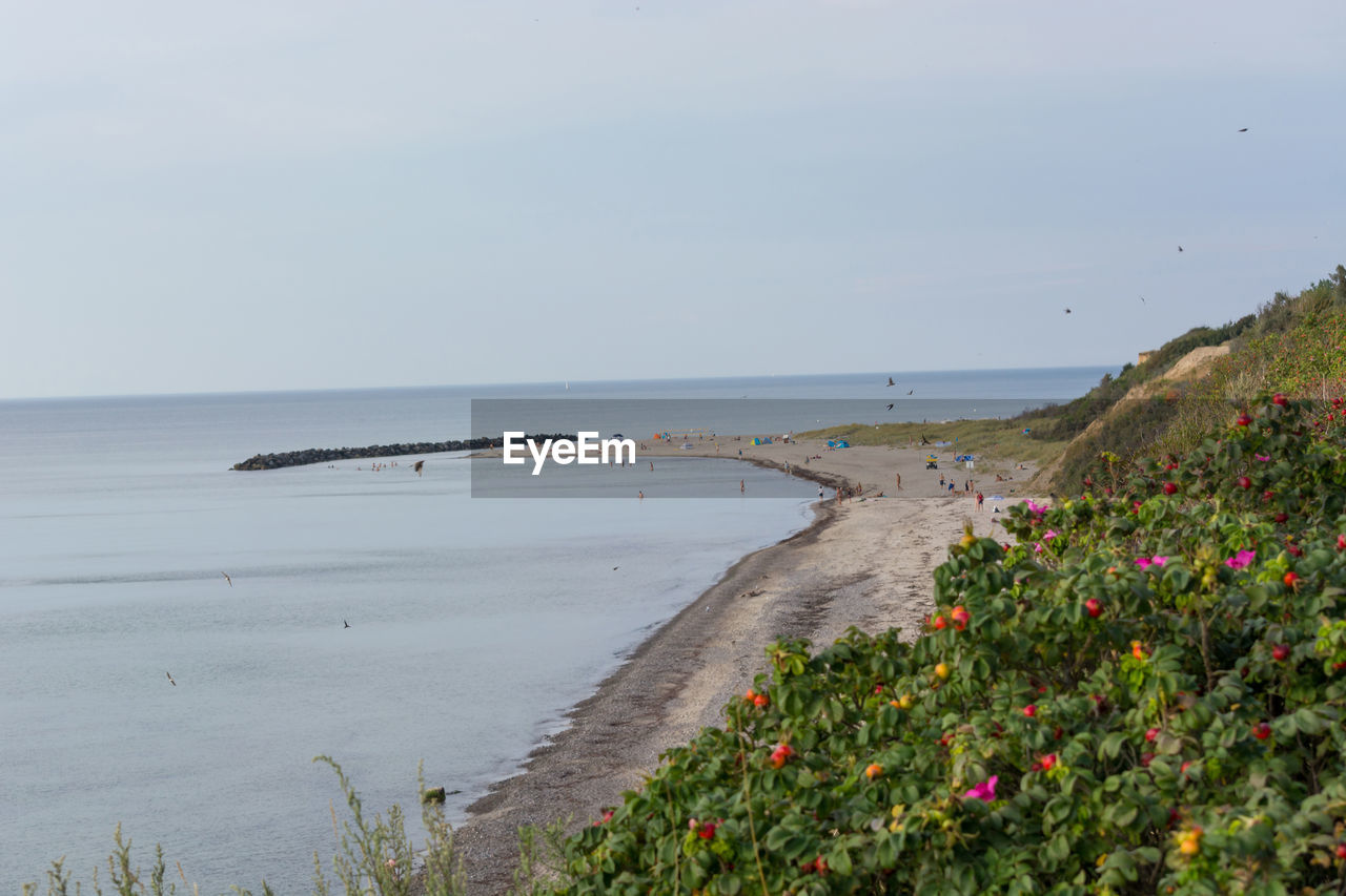 SCENIC VIEW OF BEACH AGAINST CLEAR SKY