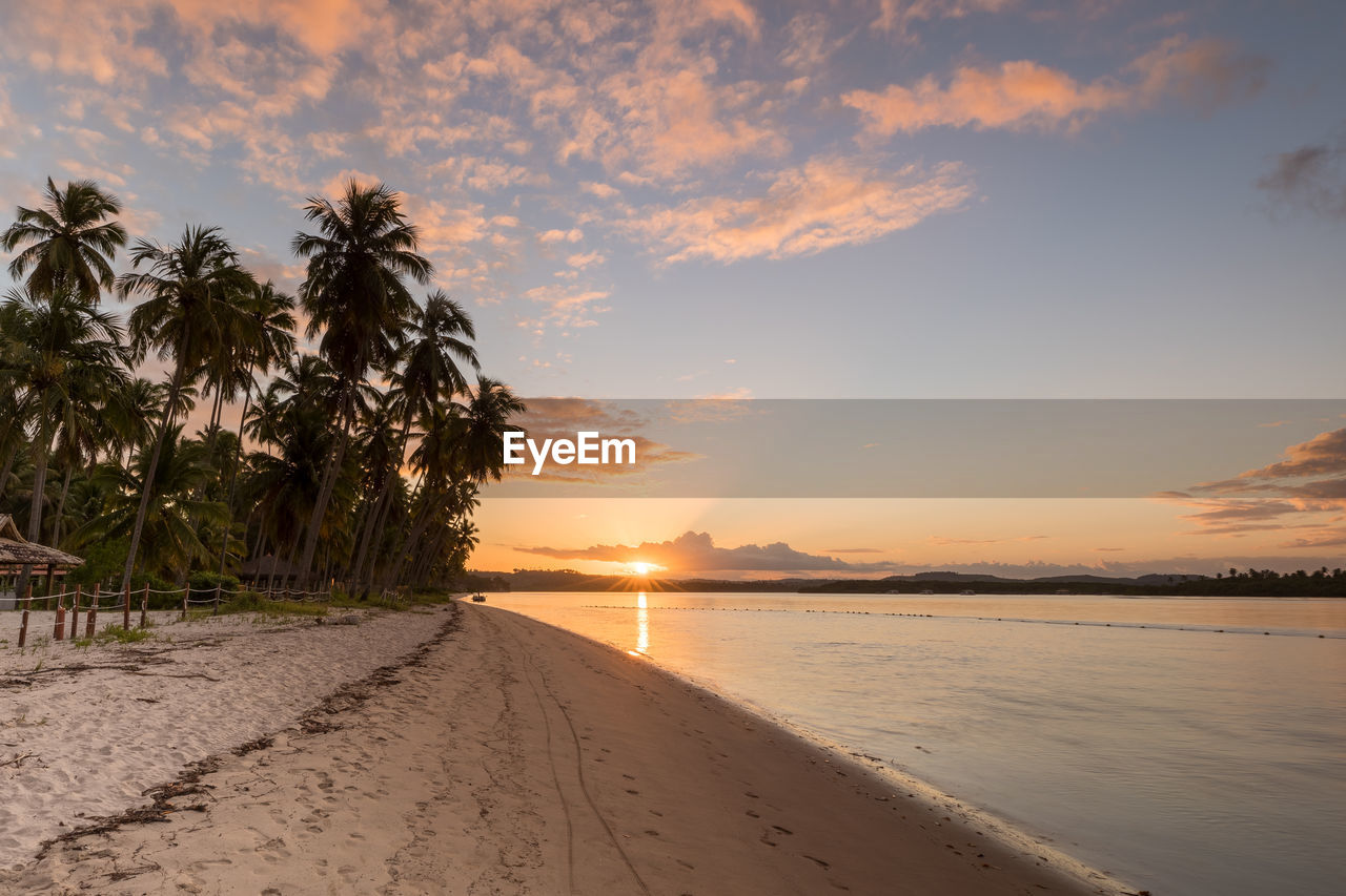 Sunset at praia dos carneiros - carneiros beach, pernambuco, brazil