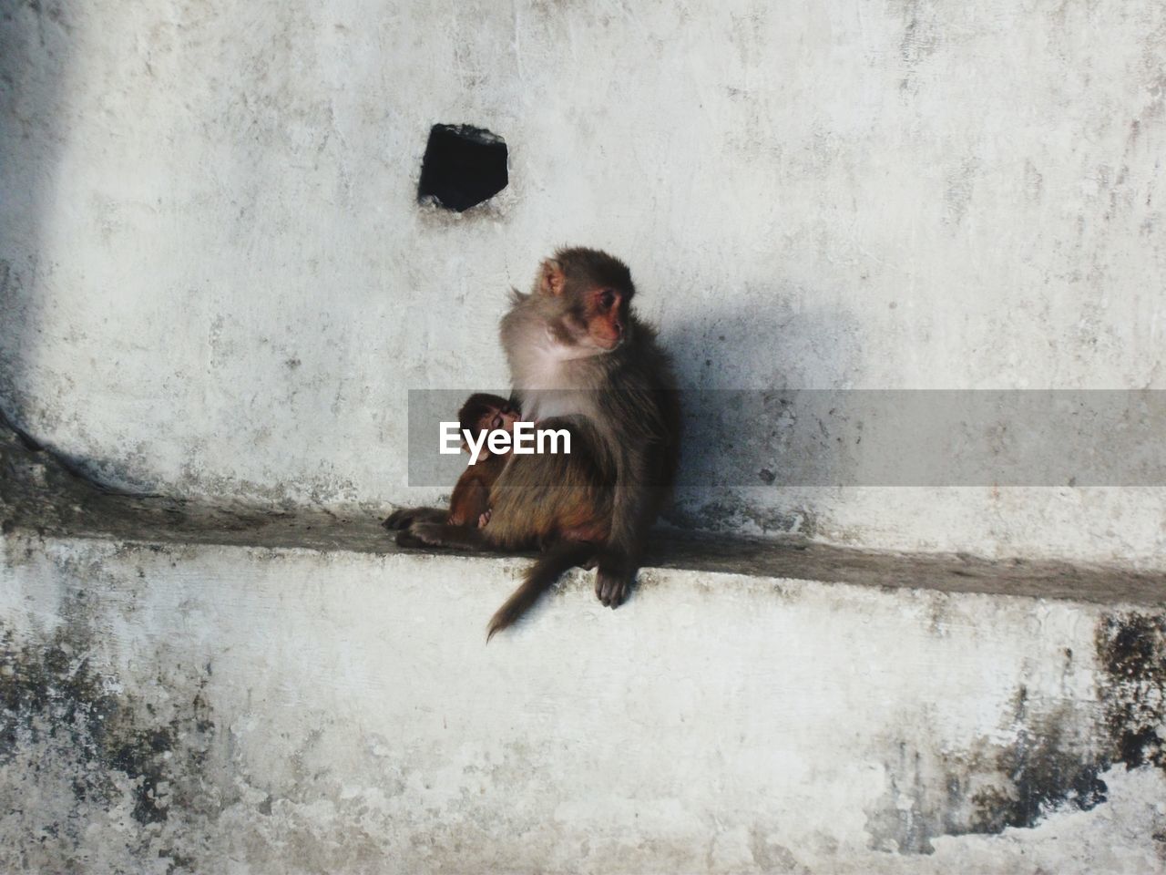 YOUNG MAN SITTING ON CONCRETE WALL