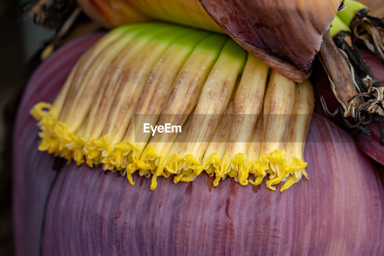 food and drink, yellow, food, freshness, healthy eating, flower, wellbeing, vegetable, produce, close-up, plant, no people, wood, macro photography, indoors, organic, still life, raw food