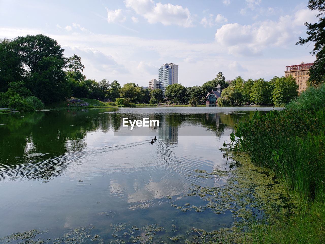 Scenic view of lake by buildings against sky