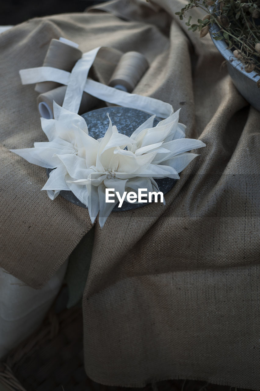 High angle view of white rose on table