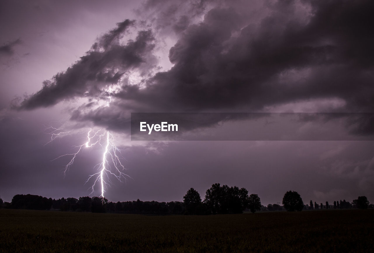 Silhouette trees against storm clouds