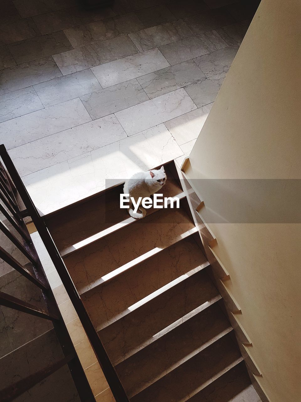 HIGH ANGLE VIEW OF A STAIRCASE AT HOME