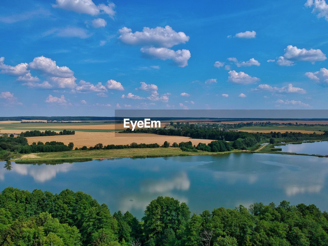 SCENIC VIEW OF TREES AND SKY