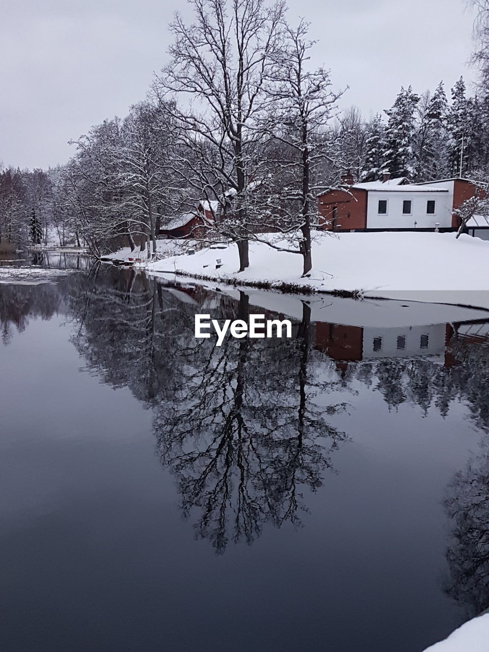 BARE TREES BY FROZEN LAKE AGAINST SKY