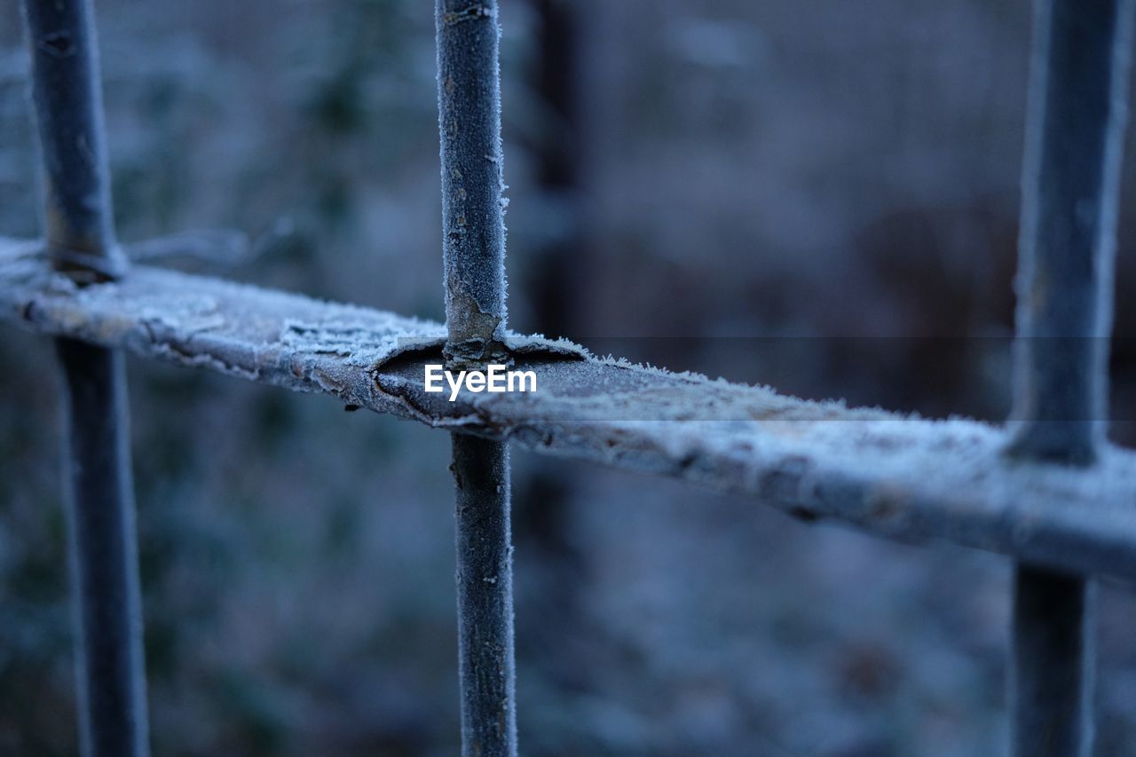 Close-up of frost on metal fence