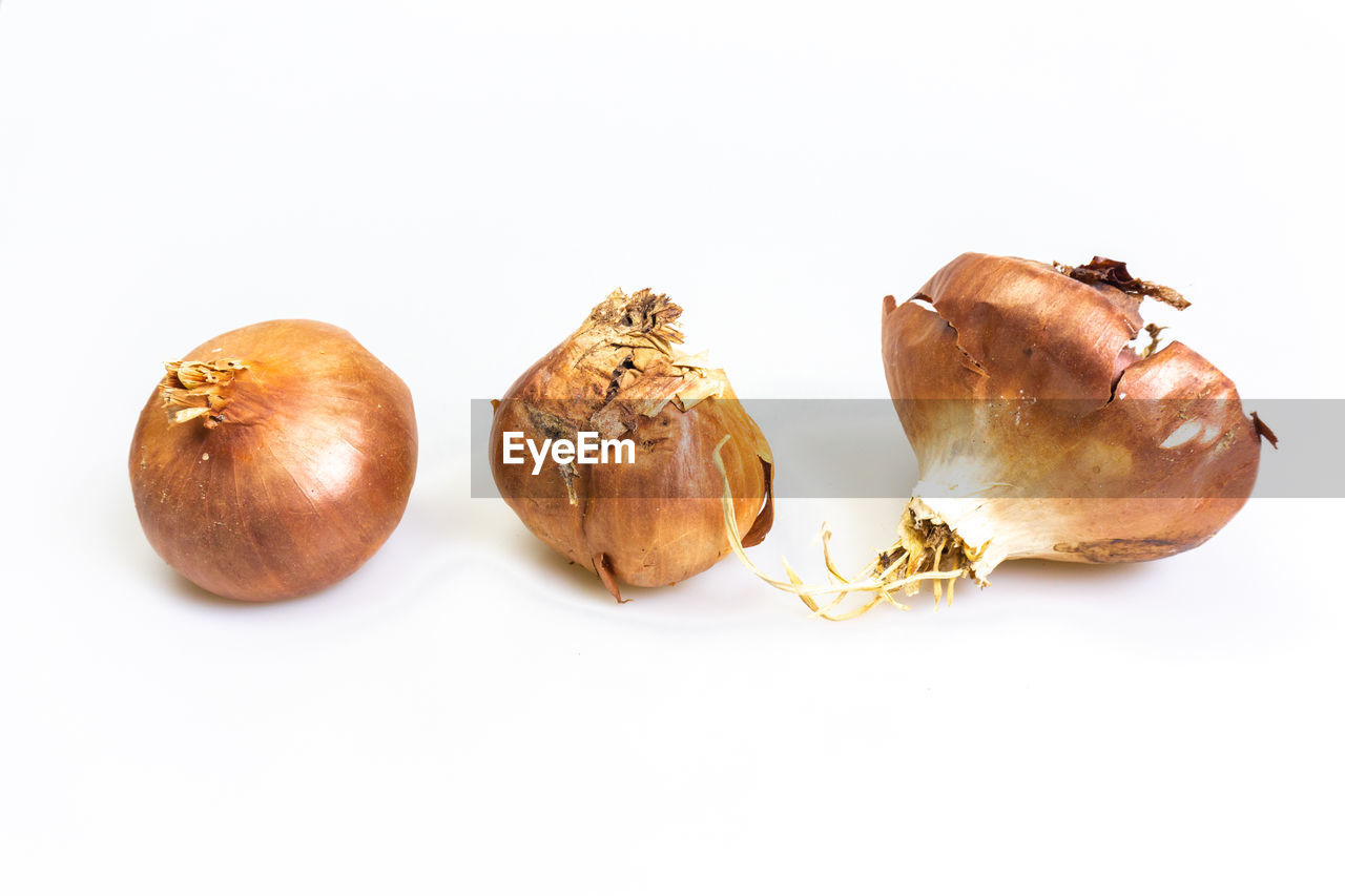 HIGH ANGLE VIEW OF BREAD IN PLATE