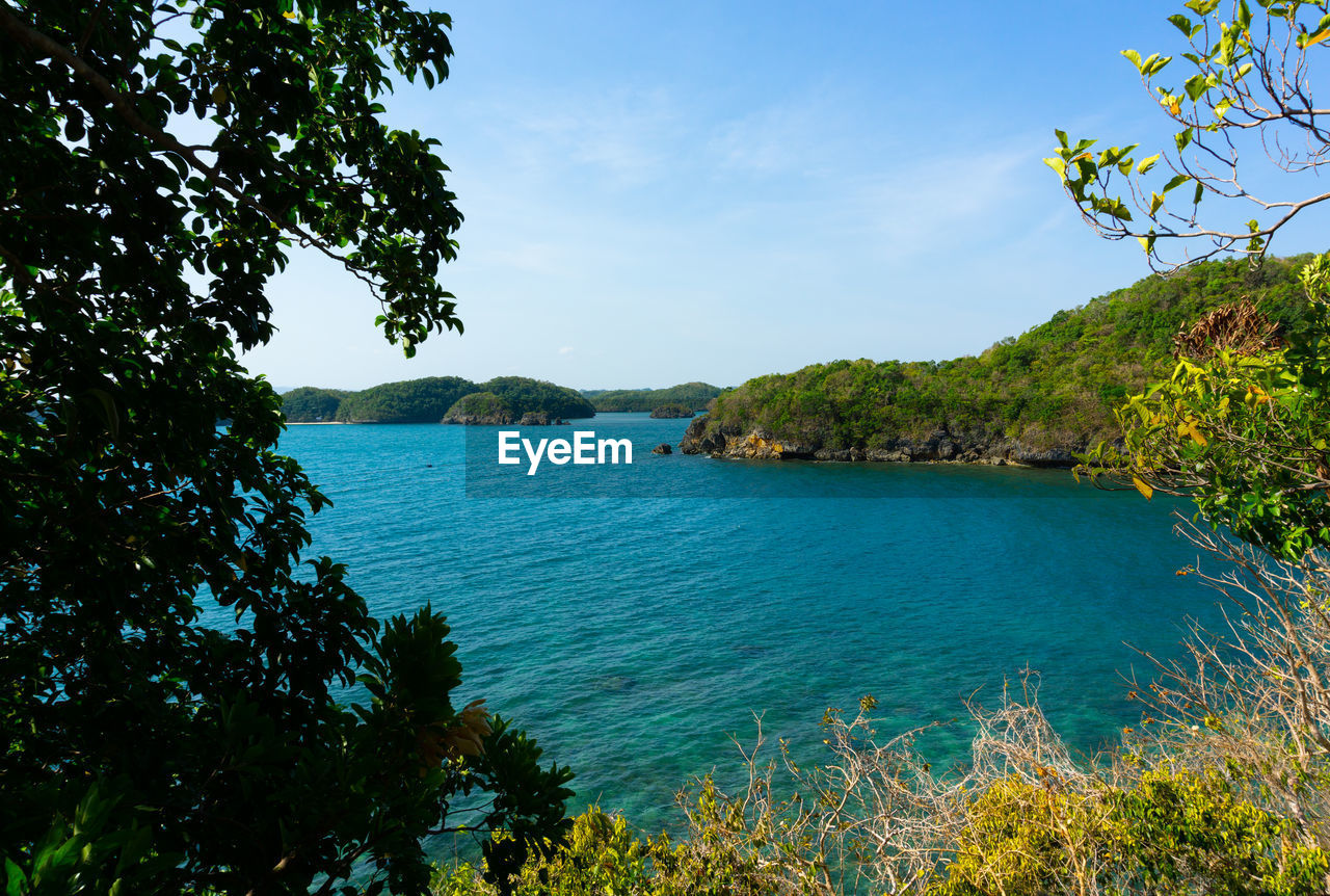 SCENIC VIEW OF SEA AND TREES AGAINST SKY