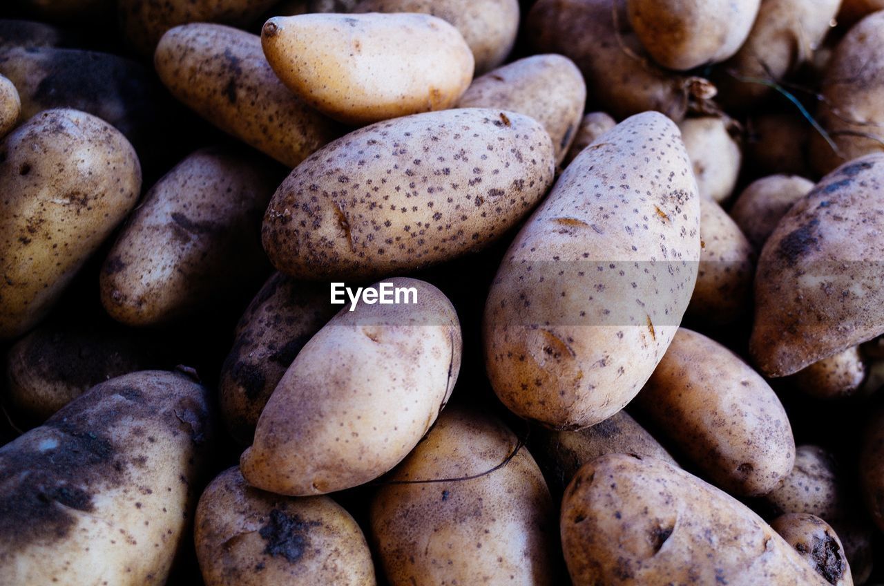 FULL FRAME SHOT OF FRUITS FOR SALE