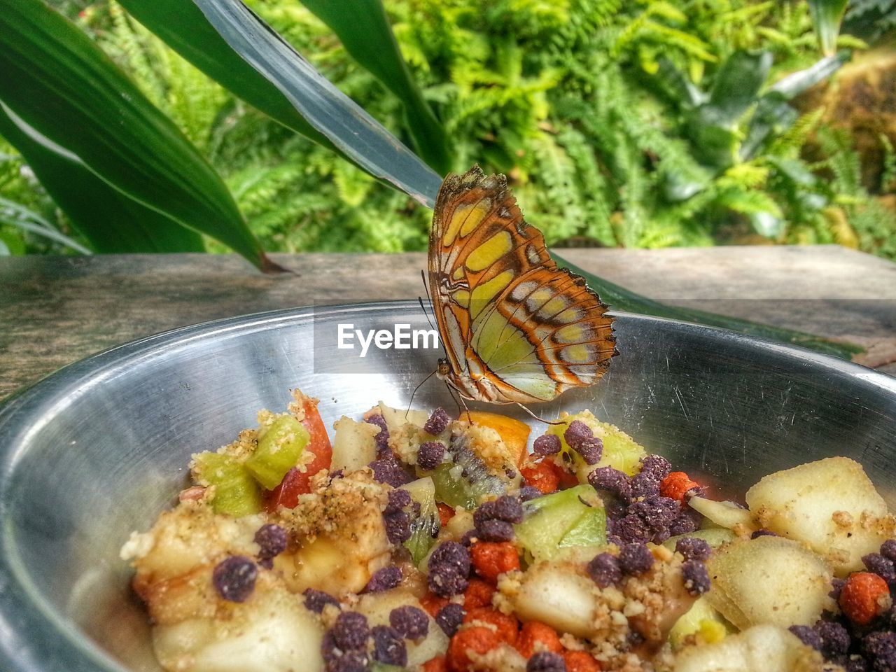 Butterfly on food
