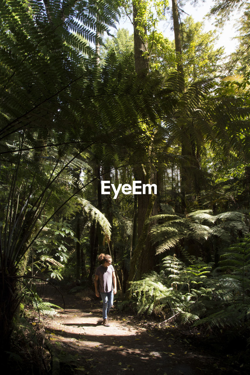 REAR VIEW OF WOMAN WALKING AMIDST PLANTS IN FOREST